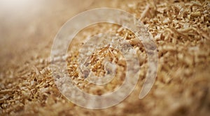 Wood shavings in a carpenter workshop