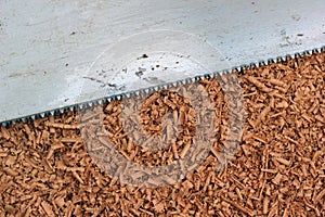 Wood shavings and saw blade texture background