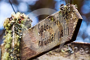 Wood sign with engraved words, 'Spean Bridge circular path' in a rustic font