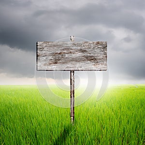 Wood sign with green rice field and rainclouds in Thailand photo