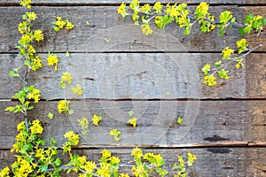 Wood Sign With a Yellow Flowers Background