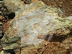 wood silica/serpentine, is an impurity in nickel mines