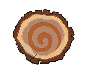 Wood slice concept