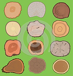 Wood slice texture wooden vector tree life age circle rings cut tree material. Set of tree slices wooden trunk natural