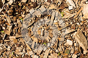 Wood slivers in the park on the playground for softness