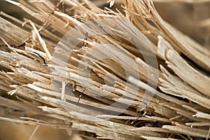 Wood splinters background