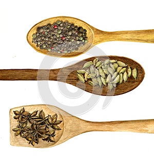 Wood spoon with spices