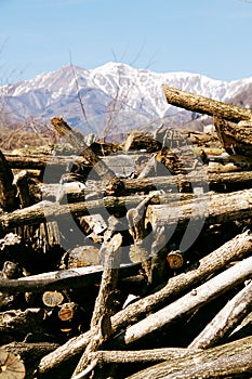 Wood stack on the mountains