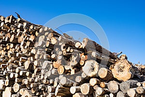 Wood, stacked and cut natural texture. Conifer stack pattern.