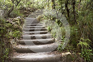 Wood stairs