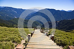 Wood stairs in the hehuanshan forest Recreation area