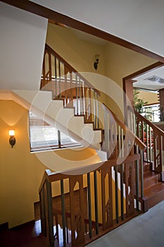 Wood stairs in room