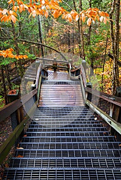 Wood stairs walkway in forest at Tahquamenon Falls State Park in Michigan.