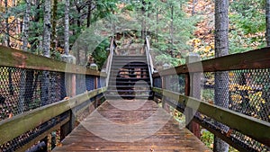 Wood stairs walkway in forest at Tahquamenon Falls State Park in Michigan.