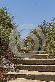 Wood stairs in the wilderness