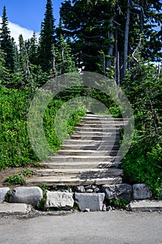 Wood steps at beginning of Skyline Trail in Paradise area of Mt. Rainier National Park, WA