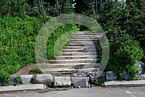 Wood steps at beginning of Skyline Trail in Paradise area of Mt. Rainier National Park, WA