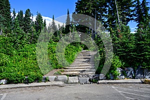 Wood steps at beginning of Skyline Trail in Paradise area of Mt. Rainier National Park, WA