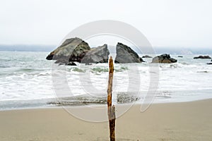 Wood stick in beach photo
