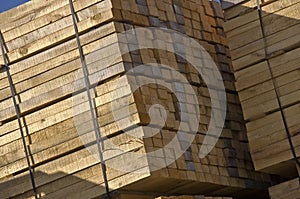 Wood stockpile