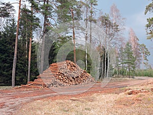 Wood store in forest