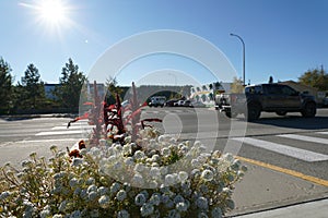 Wood Street and 4th Avenue in Whitehorse, Canada