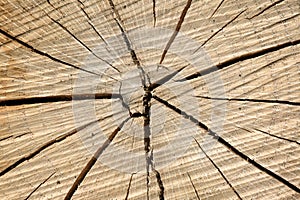 Wood structure