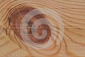 Wood surface