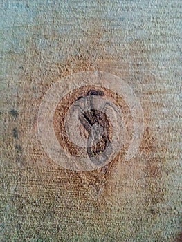 Wood surface as background