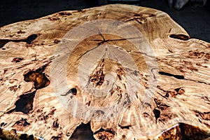 Wood surface cross section of elm tree. Live slab texture. Solid elm wooden table with epoxy resin filling. Wood