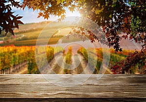 Wood table in autumn vineyard country landscape