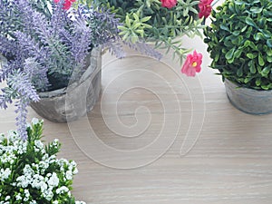 wood table with beautiful flower frame on pot and free copy space for text, view from top wood table.