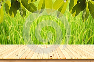 Wood table with Green ear of rice in paddy rice field on the blurred background.