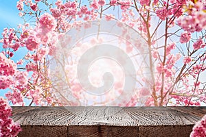 Wood table over soft focus spring cherry flowers background.