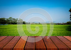 Wood table top on blur green nature background of cornfield - ca