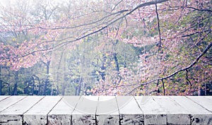 Wood table top on blur sakura flower in garden background.nature photo