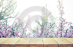 Wood table top on blur sakura flower in garden background.nature