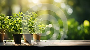 Wood table top on blur of window with garden flower background in morning. AI Generative