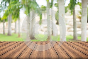 Wood table top on parm tree blurred background,for montage your