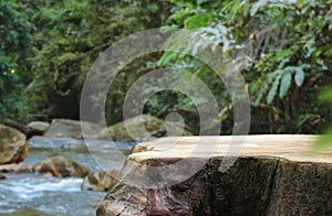 Wood table top podium floor in outdoor waterfall green tropical forest nature background.Natural water product present placement