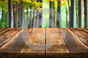 Wood table top on soft focus green forest background. For montage product display.