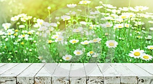 Wood table top on white daisy garden background