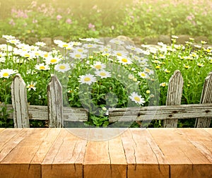 Wood table top on white flower with fence in garden background