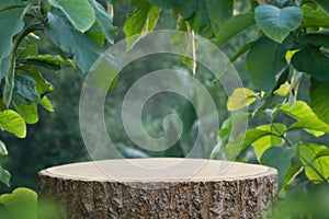 Wood tabletop counter podium floor in outdoors tropical garden forest blurred green leaf plant nature background.Natural product