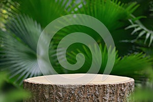 Wood tabletop counter podium floor in outdoors tropical garden forest blurred green palm leaf plant nature background.Natural