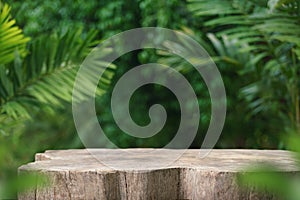 Wood tabletop counter podium floor in outdoors tropical garden forest blurred green palm leaf plant nature background.Natural