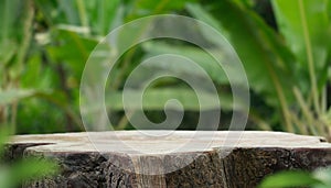 Wood tabletop podium floor in outdoors blur green banana leaf tropical forest nature landscape background.cosmetic natural product