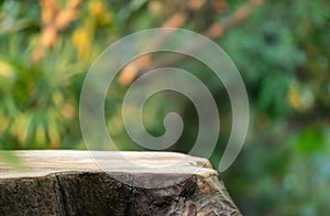 Wood tabletop podium floor in outdoors blur green leaf tropical forest nature landscape background.cosmetic natural product mock