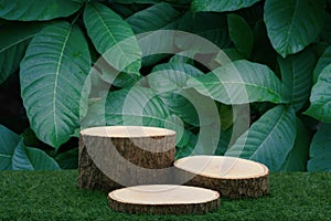 Wood tabletop podium floor in outdoors blur green leaf tropical forest nature landscape background.cosmetic natural product mock