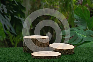 Wood tabletop podium floor in outdoors blur green leaf tropical forest nature landscape background.cosmetic natural product mock